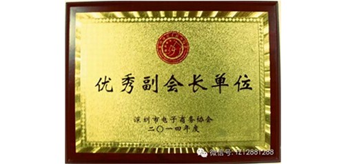 天助網(wǎng)榮膺深圳市電商協(xié)會(huì )2014年度“優(yōu)秀副會(huì )長(cháng)單位” 