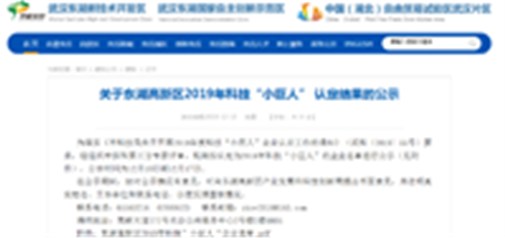 恭喜我司獲得武漢市科技“小巨人”企業(yè)！