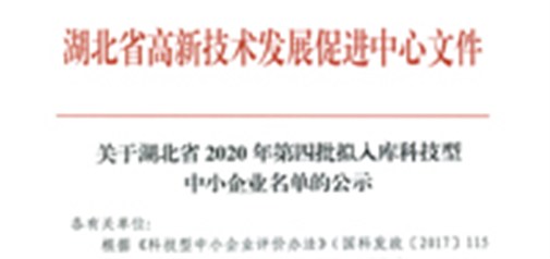 恭喜我司獲得武漢市“科技型中小企業(yè)”榮譽(yù)稱(chēng)號！